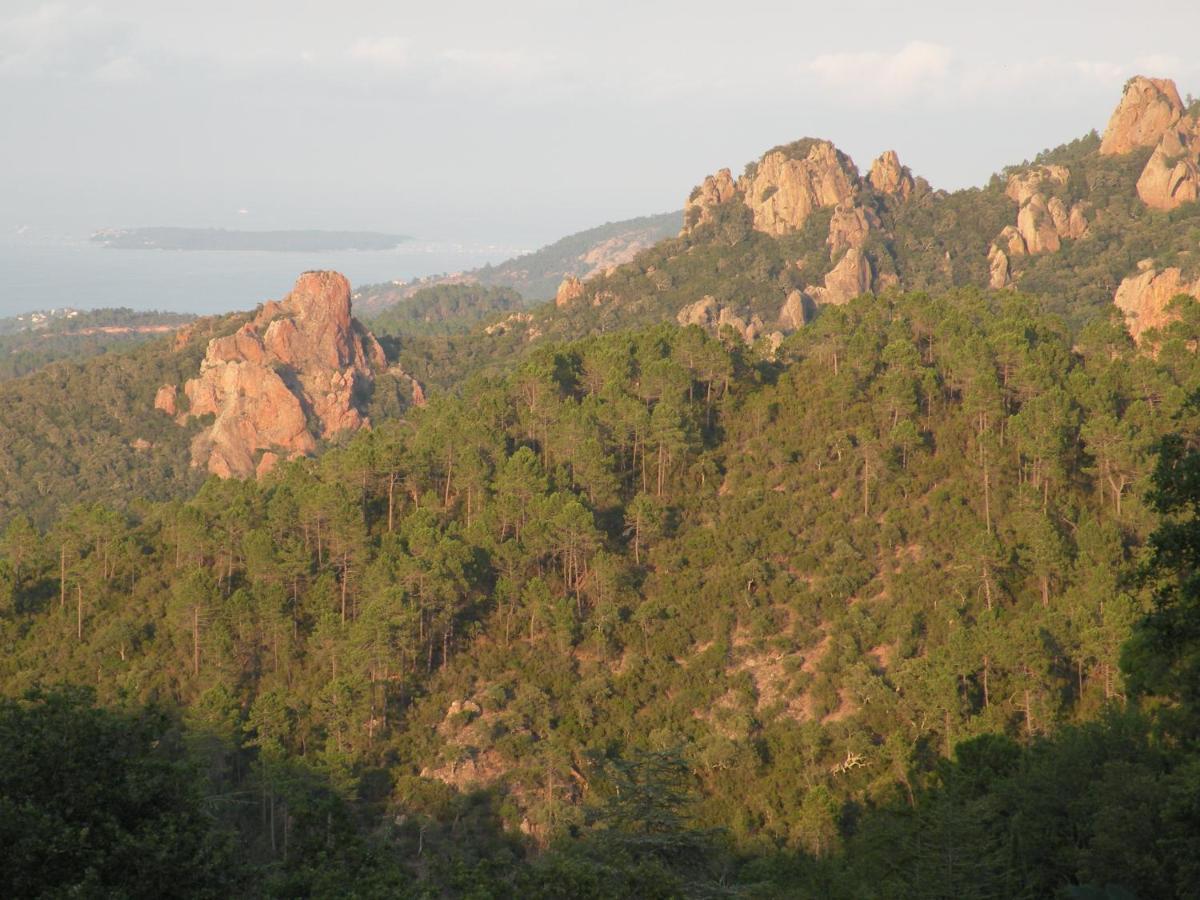 Chambre Vue Feerique Panoramique Calme Piscine Xxl Guest house Frejus