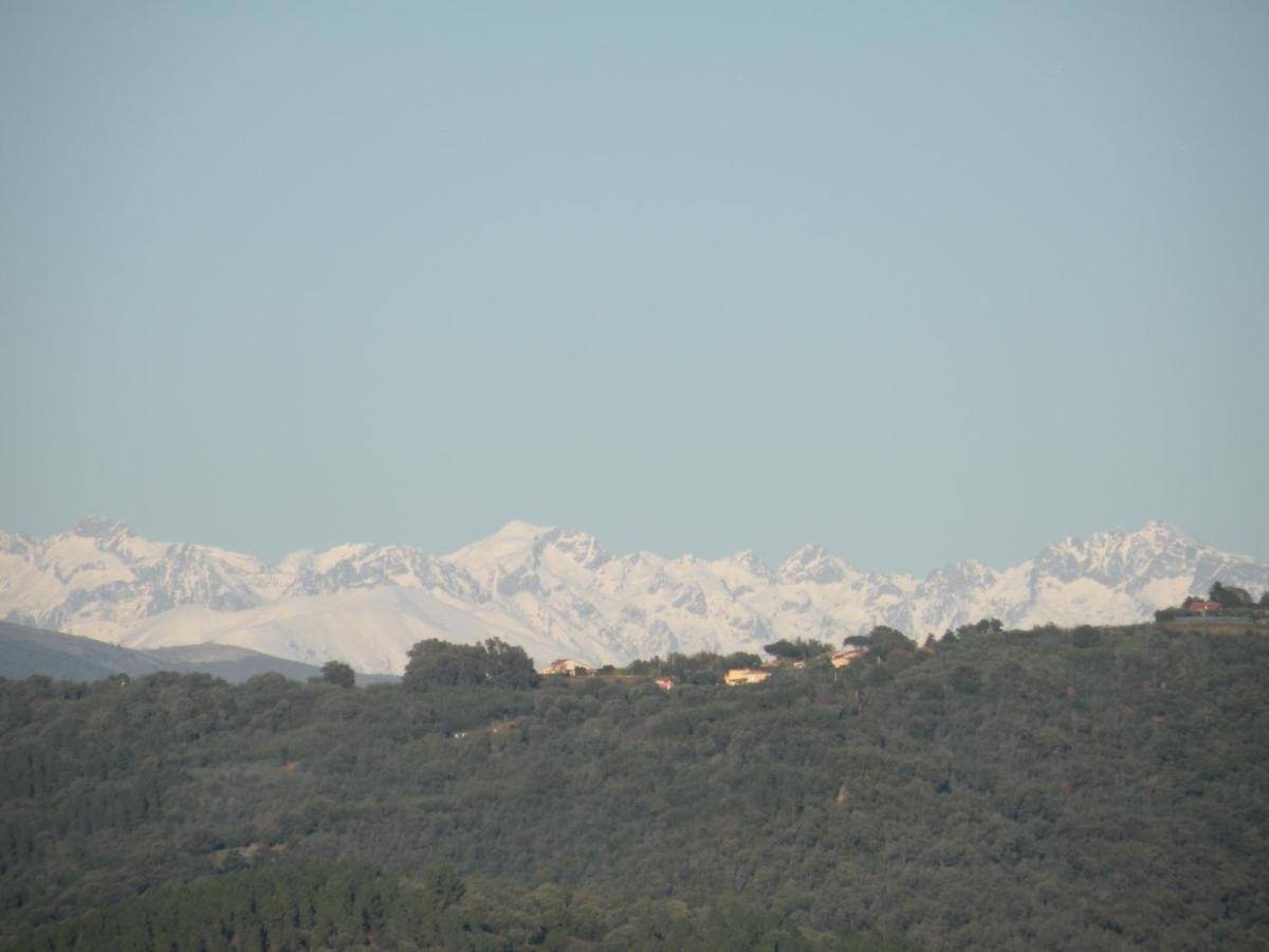 Chambre Vue Feerique Panoramique Calme Piscine Xxl * Frejus